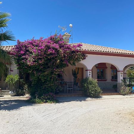 Villa Entre Mer Et Montagne Arcos de la Frontera Exterior photo